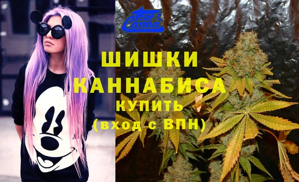 мет Алексин